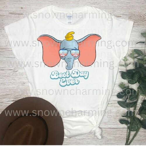 Theme Park Shirt , Theme Park Transfers, Best Day Ever, Custom Transfers, Mickey Transfers and Shirts, High Quality, Fast Shipping,