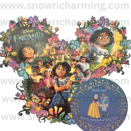 Character TRANSFER, Theme Park Transfers, Custom Transfer, Best Day Ever, Custom Transfers, Mickey Transfers and Shirts, Dtf Transfer